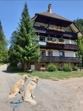 Waldblick Ferienwohnungen